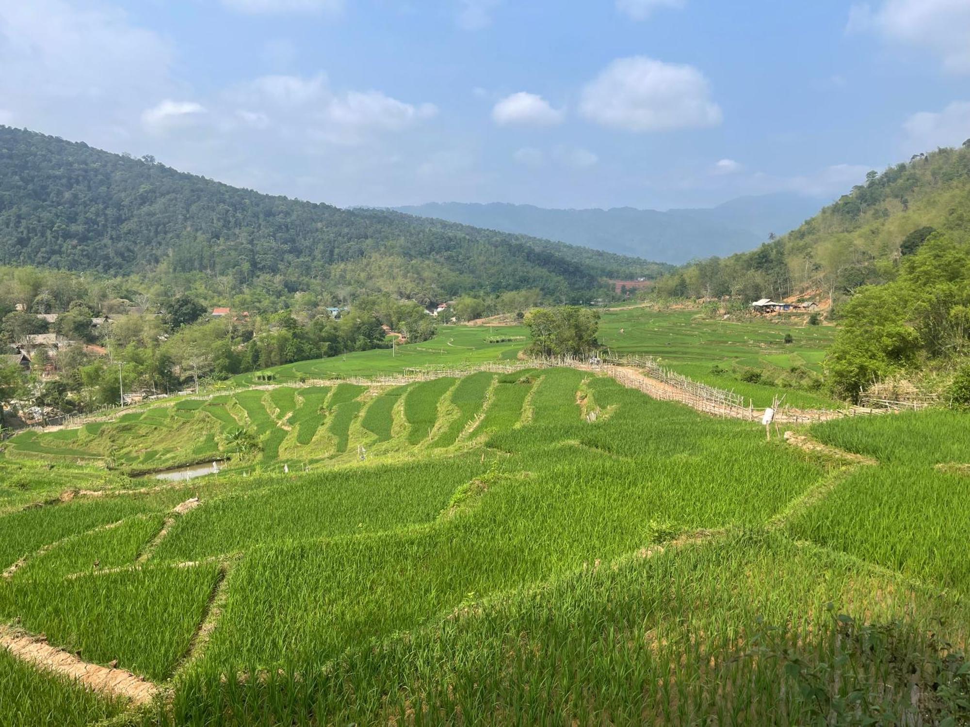Que * Hoa Binh